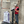 Load image into Gallery viewer, Mexico Puebla Tepetzinla

