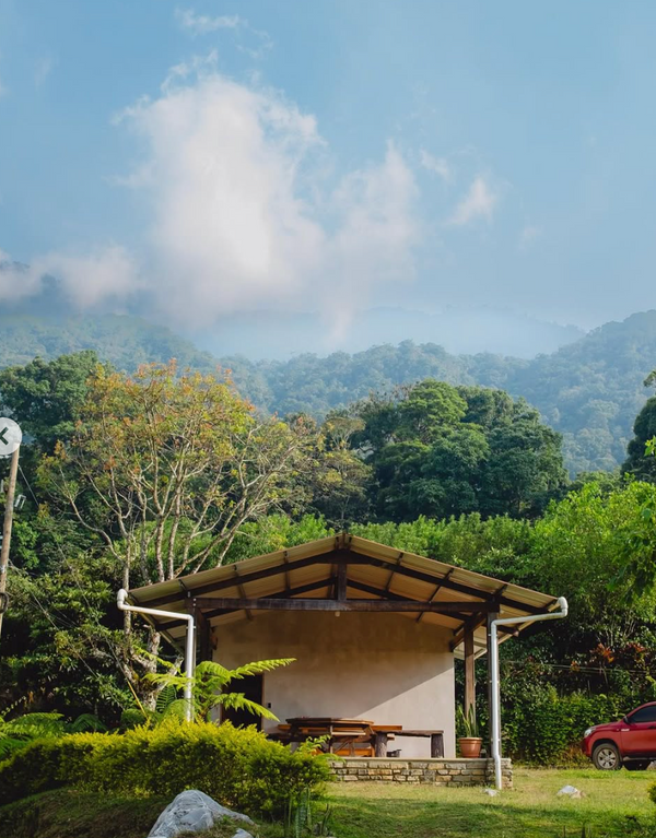 Honduras Angel Arturo Paz - Washed Pacas (PRESALE - FIRST BATCH 12/9)