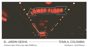 multiple neon signs in the black night