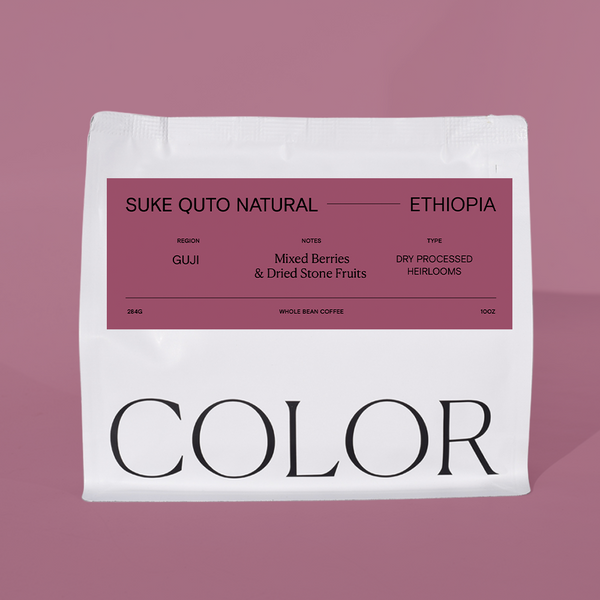 our white 10oz whole bean coffee bag with purple label and COLOR logo at the bottom on a purple background