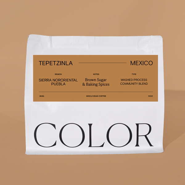 Mexico Puebla Tepetzinla