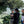 Load image into Gallery viewer, Four men standing outdoors with a scenic background of trees and mountains.
