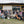 Load image into Gallery viewer, Group of people and dogs posing in front of a building with a yellow facade.
