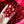 Load image into Gallery viewer, CHIAPAS COFFEE CHERRIES
