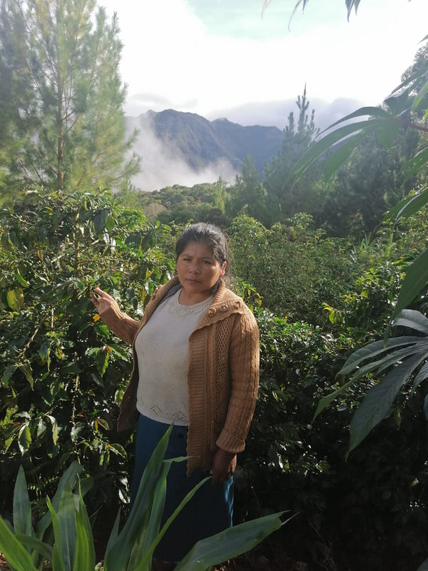 Peru Puno Vilma Chambi