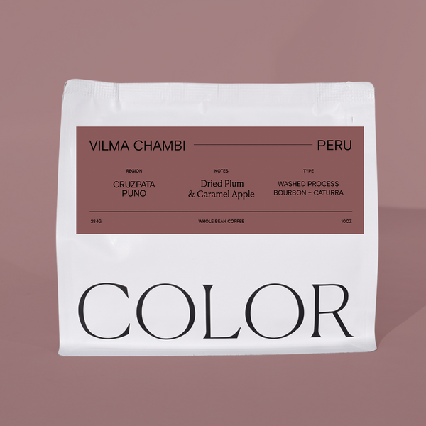 Peru Puno Vilma Chambi