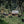 Load image into Gallery viewer, Color Coffee's Colombia Sergio Caro Chiroso
