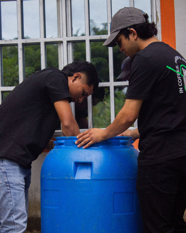 Artist Reserve: Colombia Marlon Bolaños - Anaerobic Natural Gesha (PRESALE FIRST ROAST DATE 10/27)