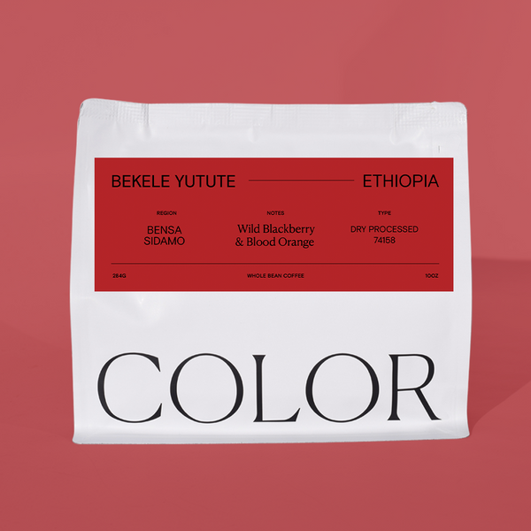 our white 10oz whole bean coffee bag with red label and COLOR logo at the bottom on a red background