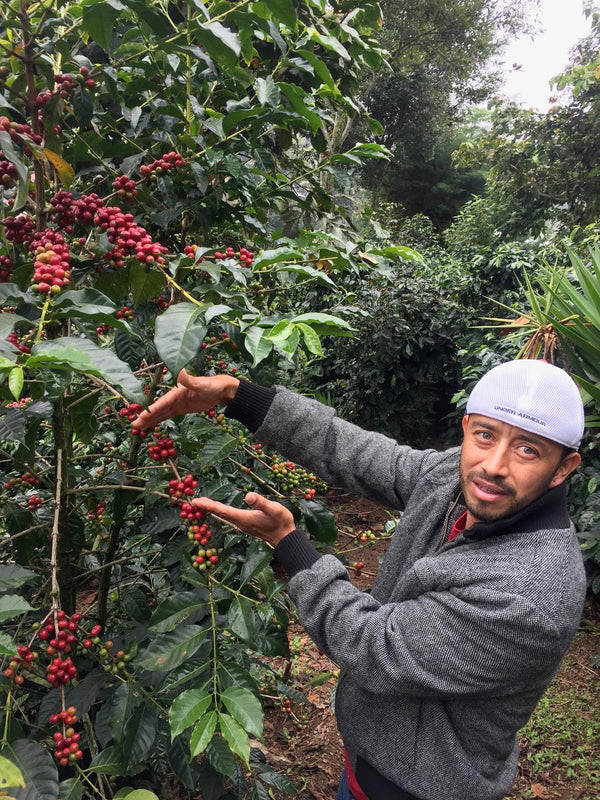 guatemalan legend