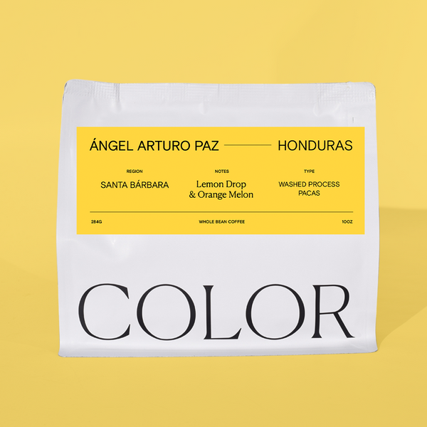 Honduras Angel Arturo Paz - Washed Pacas (PRESALE - FIRST BATCH 12/9)