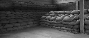 storage room full of bags of whole bean coffee