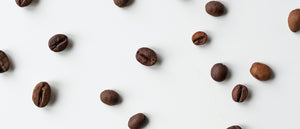 individual coffee beans all over and spread out on a white background