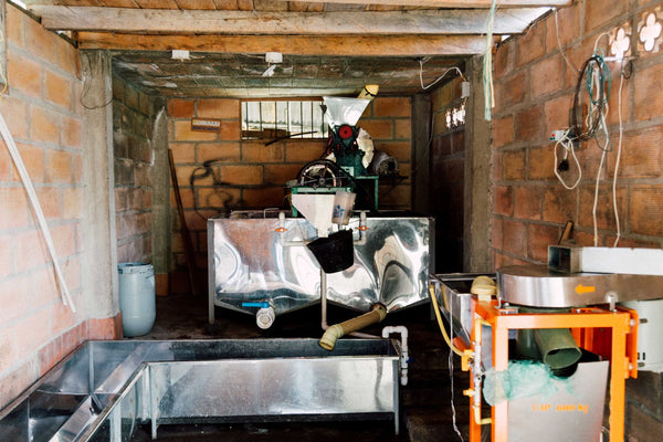 Artist Reserve: Colombia Carmen Montoya - Multi-Stage Washed Chiroso