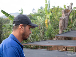 Man wearing a blue shirt and black cap standing in a tropical setting with trees and a wooden structure.