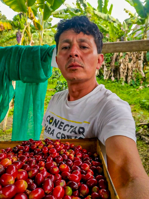 Peru Amazonas Refugio del Mono - Washed Typica & Caturra