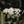 Load image into Gallery viewer, Ethiopia Hambela Natural
