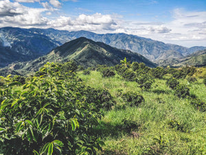 beautiful mountain ranges in Colombia with a cloudy blue sky