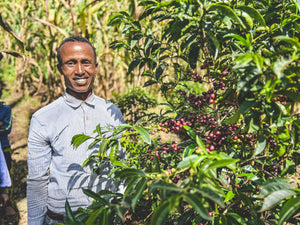 Ethiopian coffee farmer standing behind a coffee tree smiling