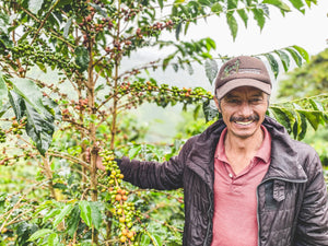 Man standing among coffee trees with coffee cherries on a farm