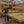 Load image into Gallery viewer, Person standing next to a wooden frame with coffee beans inside a rustic wooden building.
