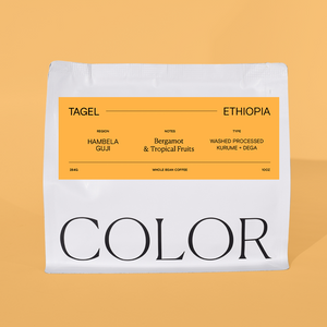 our 10oz white whole bean coffee bag with orange label and COLOR logo on an orange background