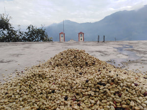 pile of whole bean coffee beans with the mountain ranges in the distance