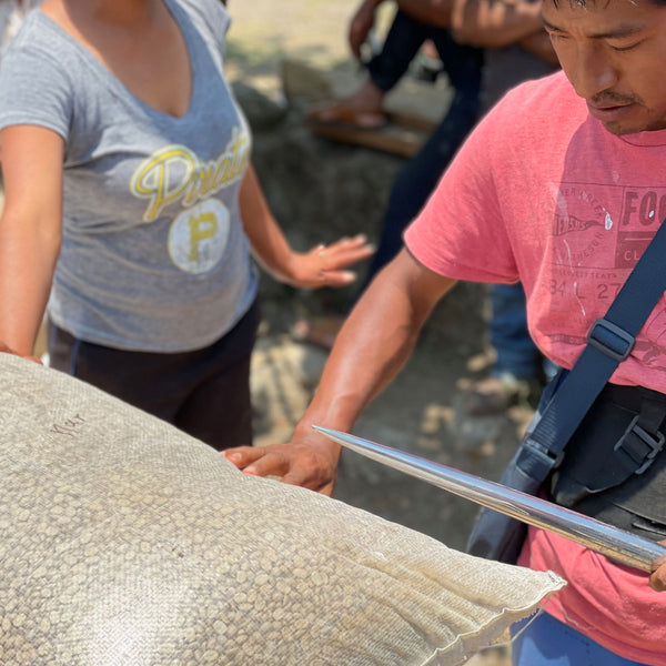 Arturo Ortiz one of the best coffee producers