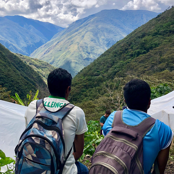 two coffee farmers looking out onto the mountains of latin america