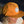 Load image into Gallery viewer, close up and side angle of Color Coffee nylon gold orange cap on woman model
